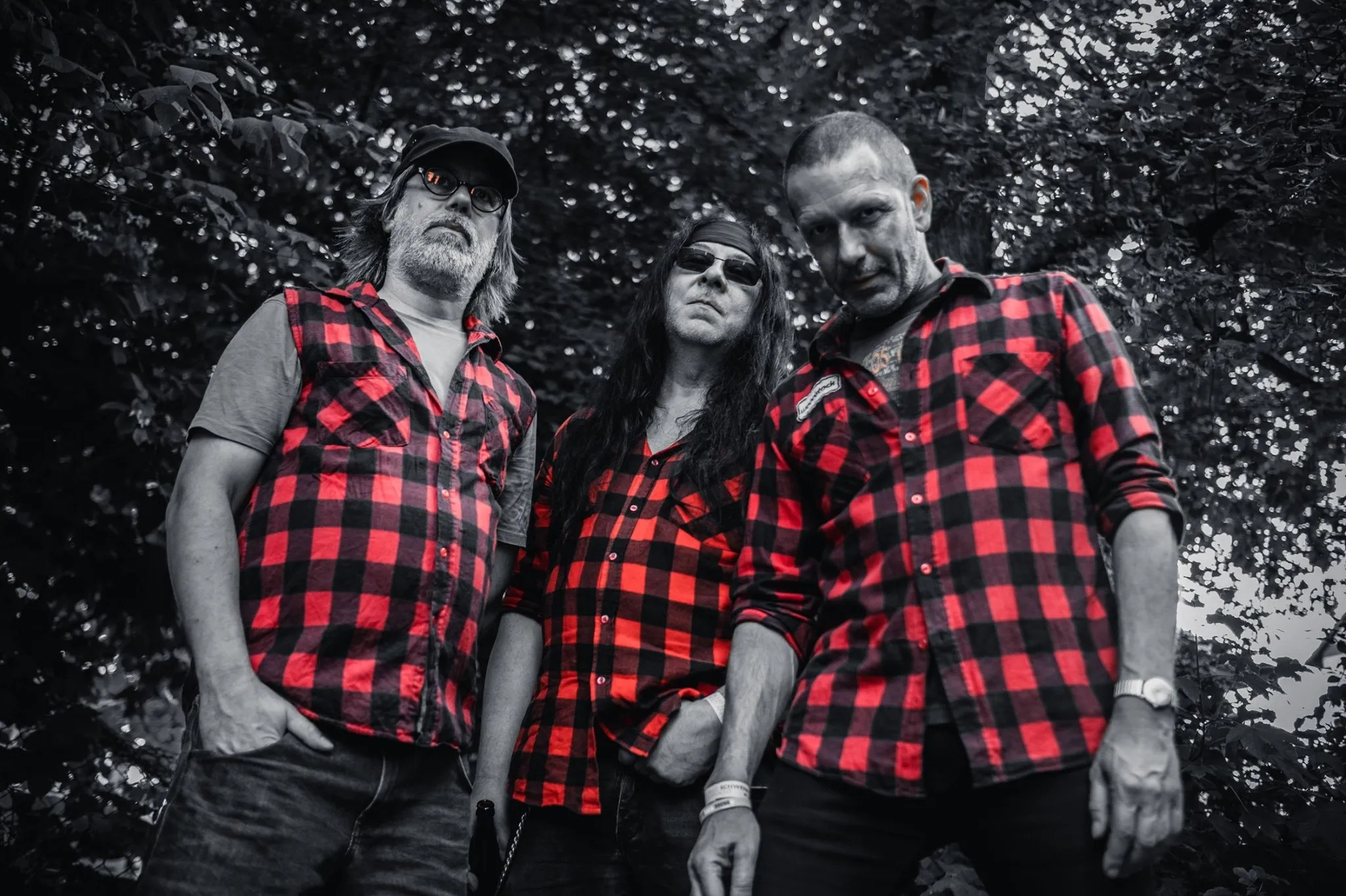 gallery-image-dbb3e373-202a-4942-a6fb-66c62dde1a2d